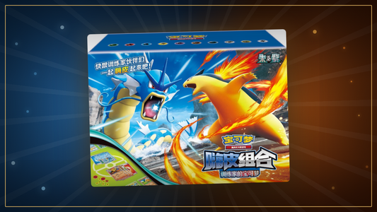 Combination Set Gyarados und Typhlosion Box auf blau-orangem Hintergrund