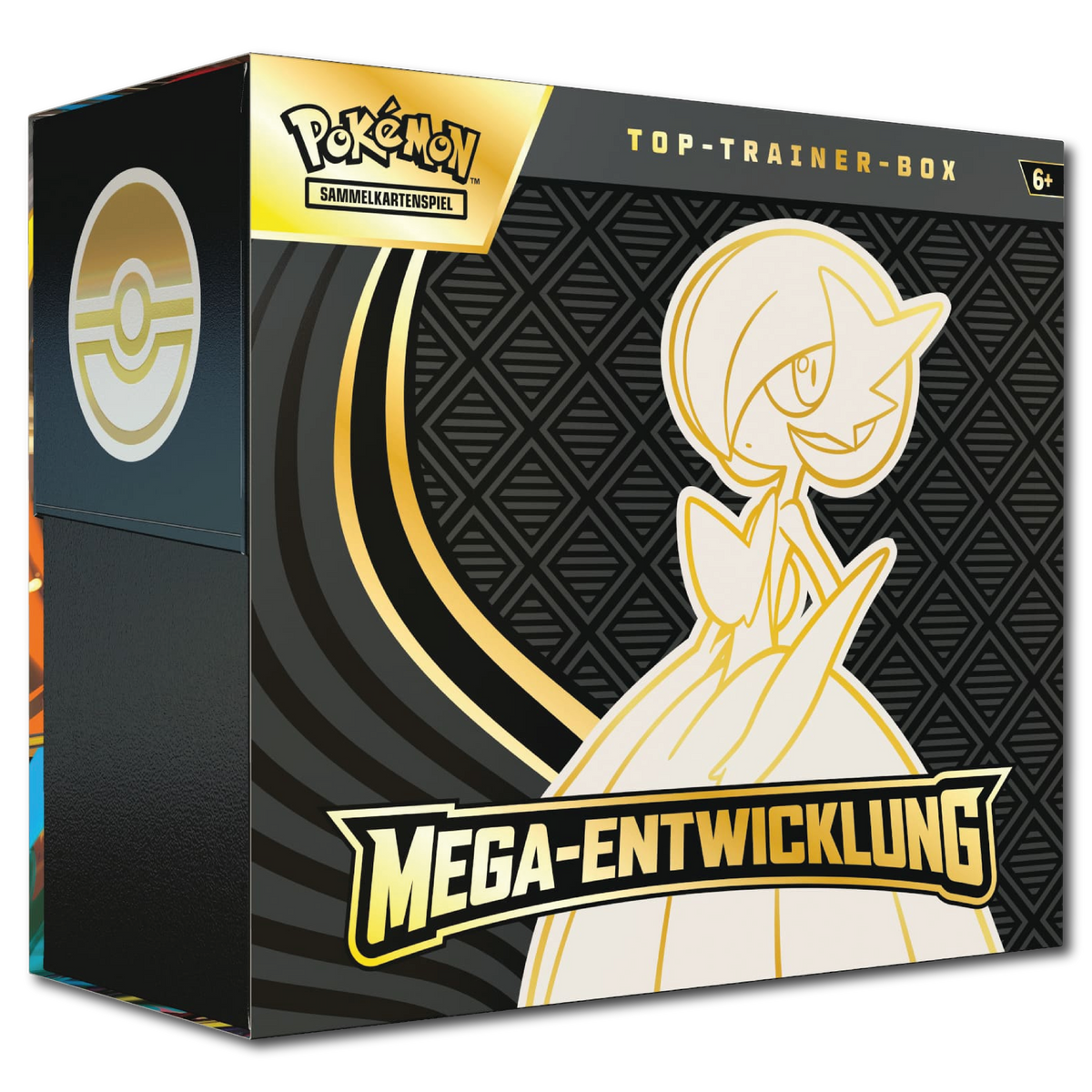 Mega-Entwicklung Top Trainer Box (Deutsch), Bild 2
